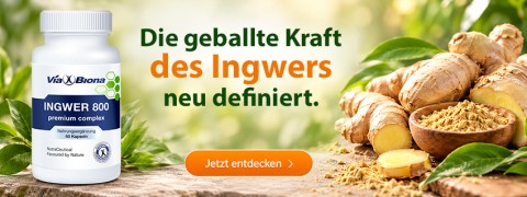 Viabiona Ingwer